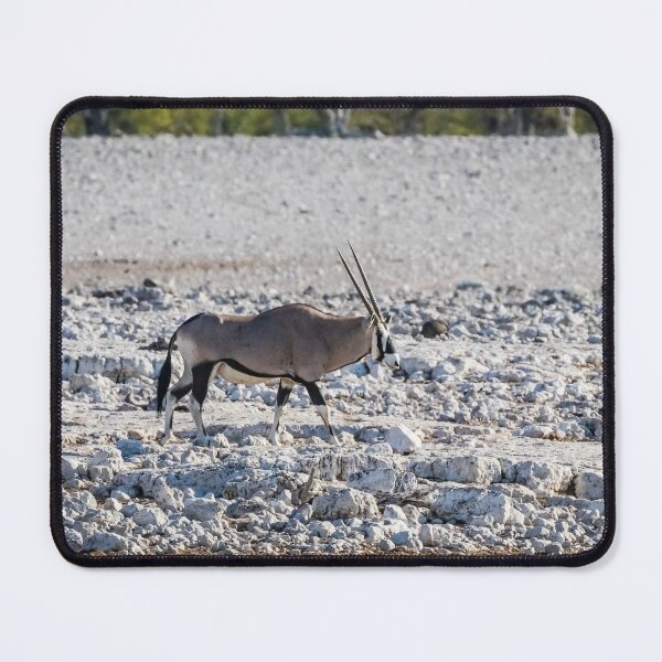 Item preview, Oryx in the Etosha National Park, Namibia designed and sold by Lyl Dil Creations.
