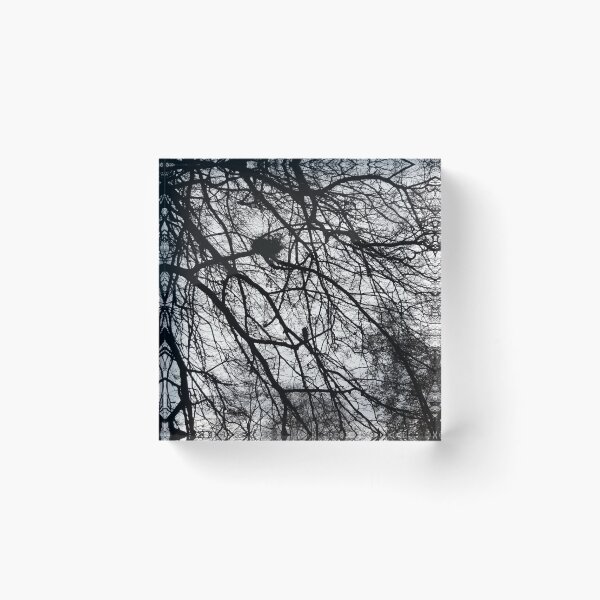 Item preview, Winter Trees designed and sold by amanda150771.