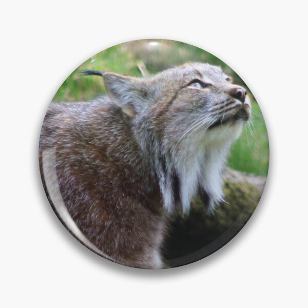 Item preview, Lynx on the prowl designed and sold by Ladymoose.