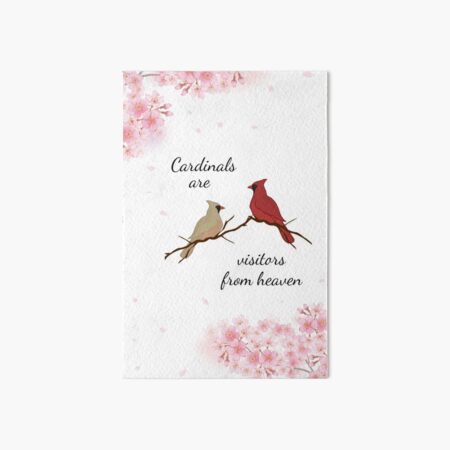 Cardinals are visitors from heaven Art Board Print