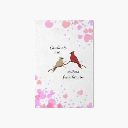 Cardinals are visitors from heaven  Art Board Print