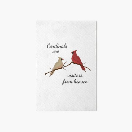  Cardinals are visitors from heaven  Art Board Print