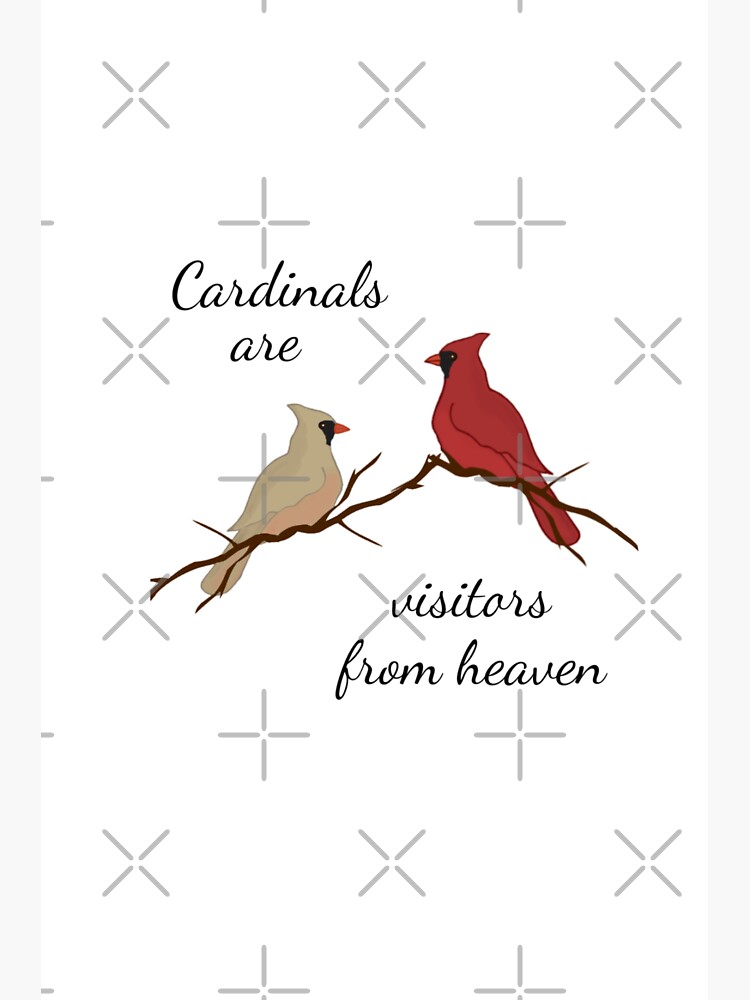  Loving Memory Letter From Heaven Cardinals Someone In