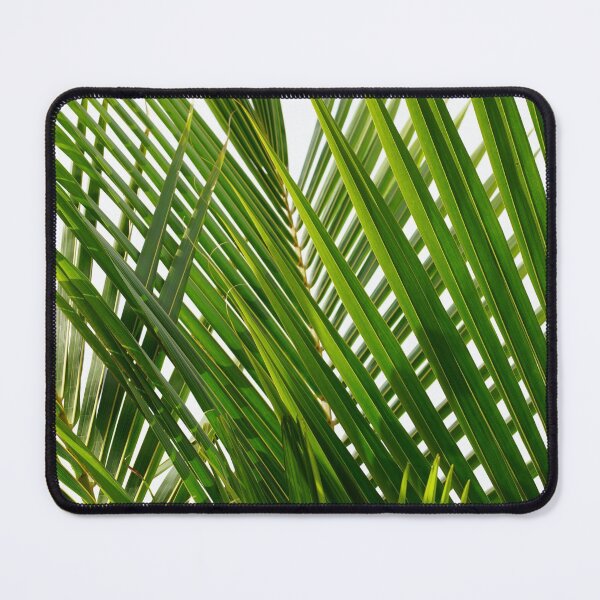 Item preview, Fresh Tropical Palm Leaf  designed and sold by newburyboutique.
