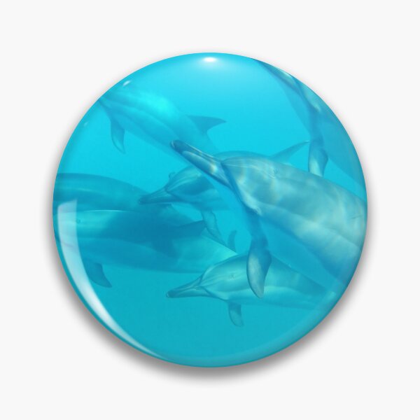 Item preview, Dolphin Ascendance designed and sold by Whale & Dolphin Wisdom Retreats.