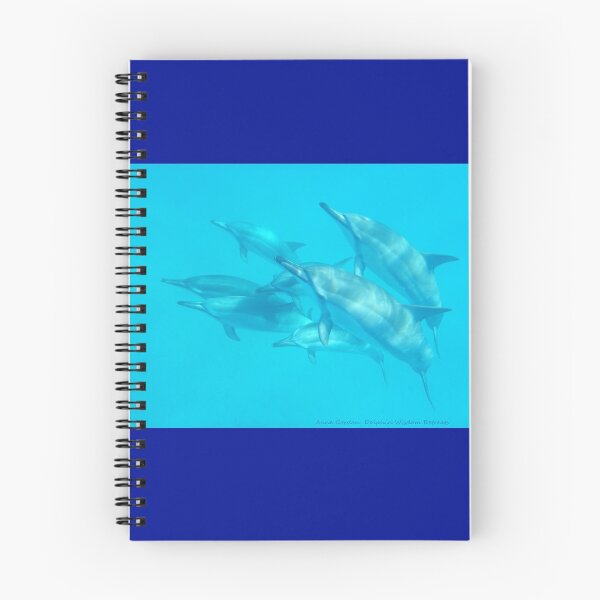 Item preview, Dolphin Ascendance designed and sold by Whale & Dolphin Wisdom Retreats.
