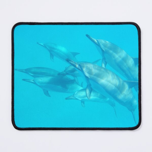 Item preview, Dolphin Ascendance designed and sold by Whale & Dolphin Wisdom Retreats.