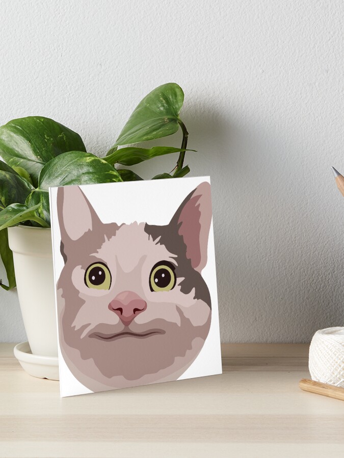 Polite Cat Meme | Photographic Print