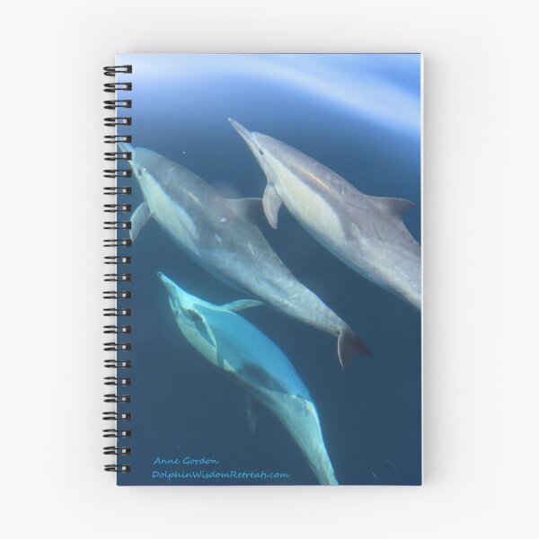 Item preview, Dolphin Shadow designed and sold by Whale & Dolphin Wisdom Retreats.