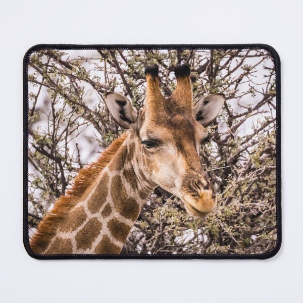 Item preview, Portrait of a giraffe, Namibia designed and sold by Lyl Dil Creations.