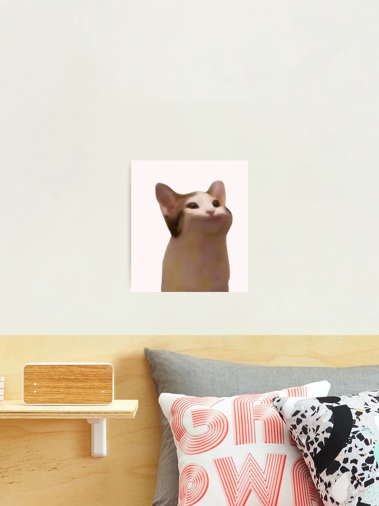 Pop Cat Meme Photographic Print for Sale by masoncarr2244