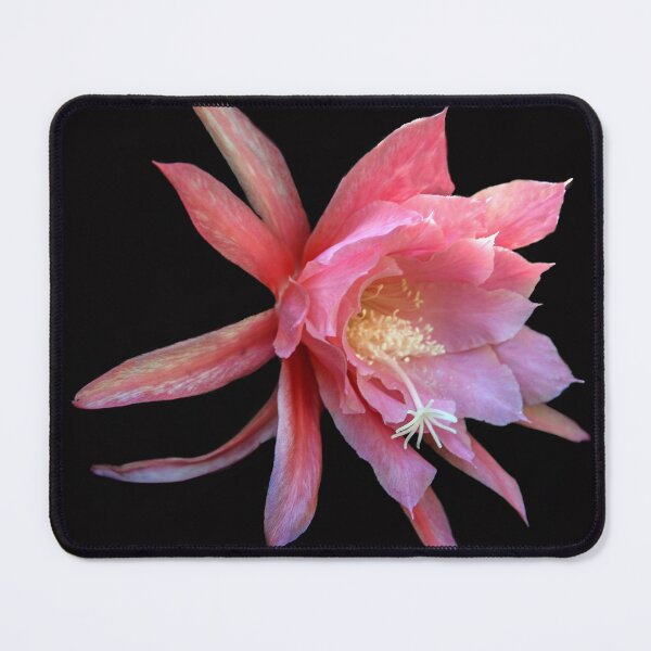 Item preview, Cactus Flower designed and sold by heatherfriedman.