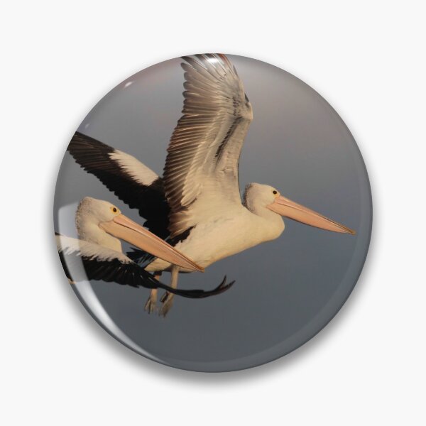 Item preview, Pelicans at Sunset  designed and sold by Seesee.
