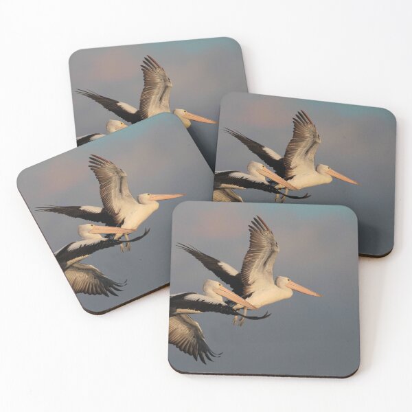 Item preview, Pelicans at Sunset  designed and sold by Seesee.