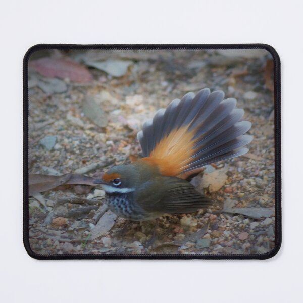 Item preview, Rufous Fantail designed and sold by Dragonsfield.