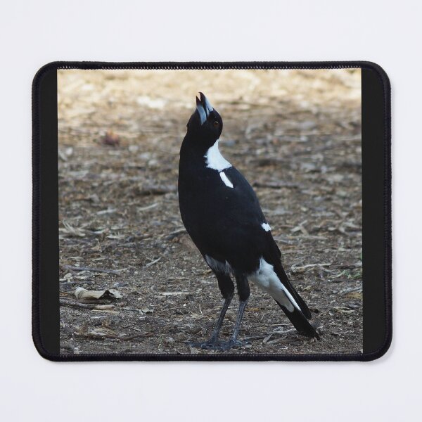 Item preview, Singing Magpie designed and sold by Dragonsfield.