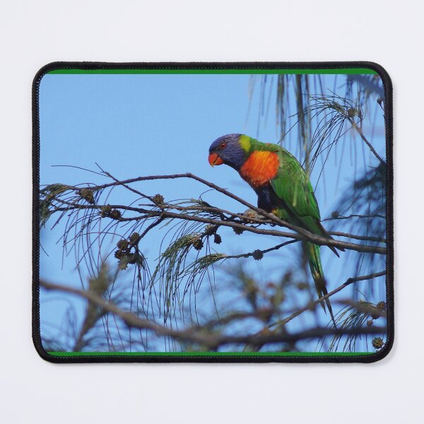 Item preview, Rainbow Lorikeet designed and sold by Dragonsfield.