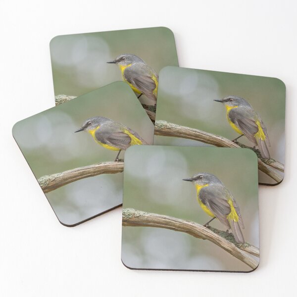 Item preview, Eastern Yellow Robin 3 designed and sold by Stephen Ruane.