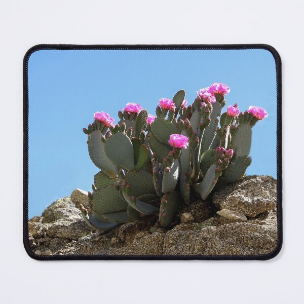 Item preview, Flowering Beaver Tail Cactus designed and sold by heatherfriedman.