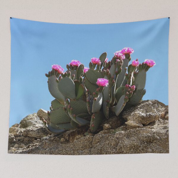 Item preview, Flowering Beaver Tail Cactus designed and sold by heatherfriedman.