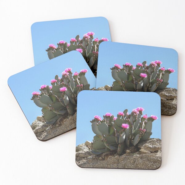 Item preview, Flowering Beaver Tail Cactus designed and sold by heatherfriedman.