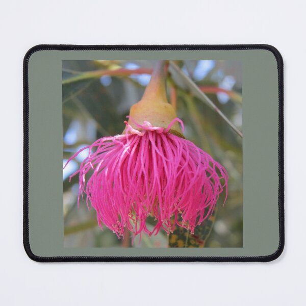 Item preview, Eucalyptus Blossom designed and sold by Honey Myrtle Studio.