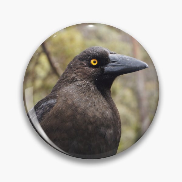 Item preview, Pied Currawong  designed and sold by Dragonsfield.