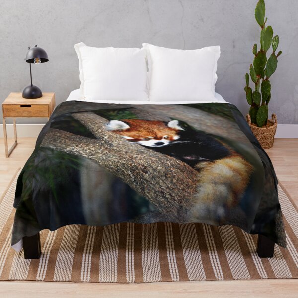 Item preview, Red Panda designed and sold by Savannah Gibbs.