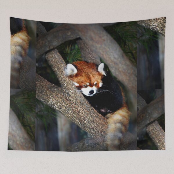 Item preview, Red Panda designed and sold by Savannah Gibbs.