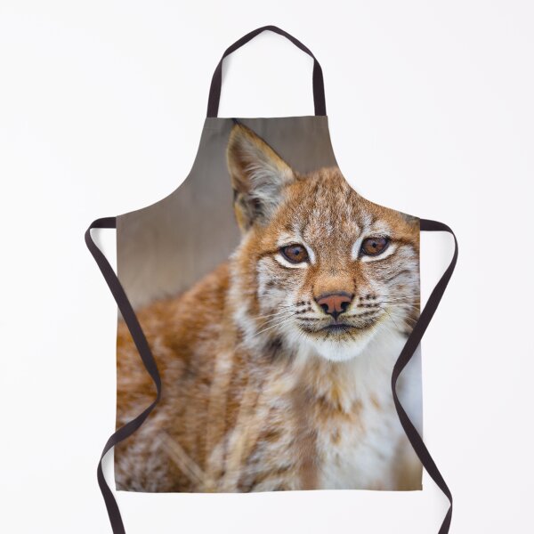 Item preview, Lynx Photograph designed and sold by AnimalLover4eva.