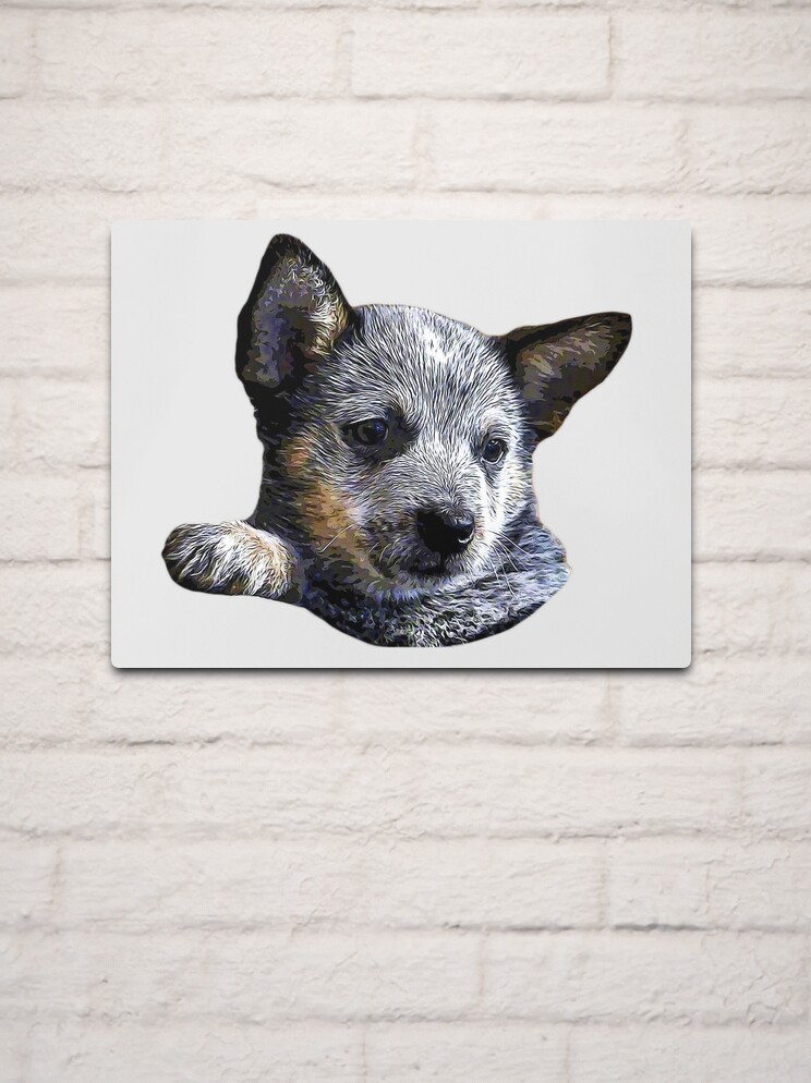 Australian Cattle Dog Blue Heeler Puppy Mounted Print for Sale by Elarex