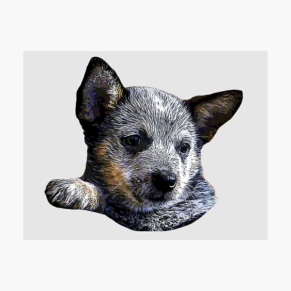 Australian Cattle Dog Blue Heeler Puppy Tote Bag for Sale by Elarex