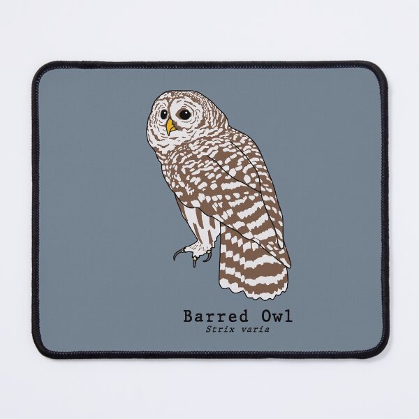 Item preview, Barred Owl (Strix varia) with scientific name designed and sold by taylorrowan.