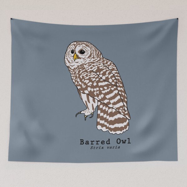 Item preview, Barred Owl (Strix varia) with scientific name designed and sold by taylorrowan.