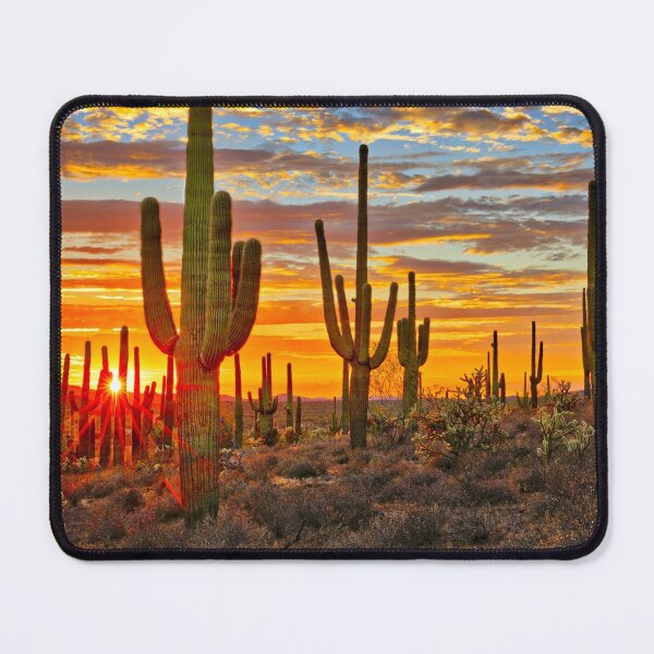 Item preview, Saguaro National Park designed and sold by JoshuaDarbon94.