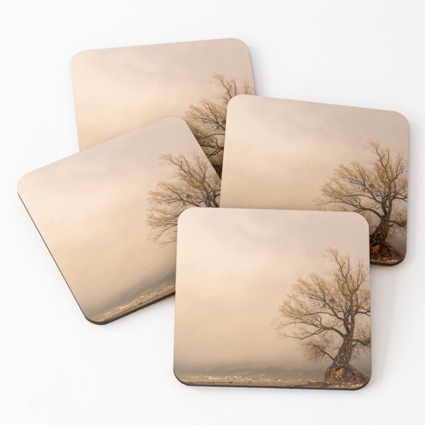 Item preview, Old willow on the shore of lake Constance designed and sold by Stefan Rotter.