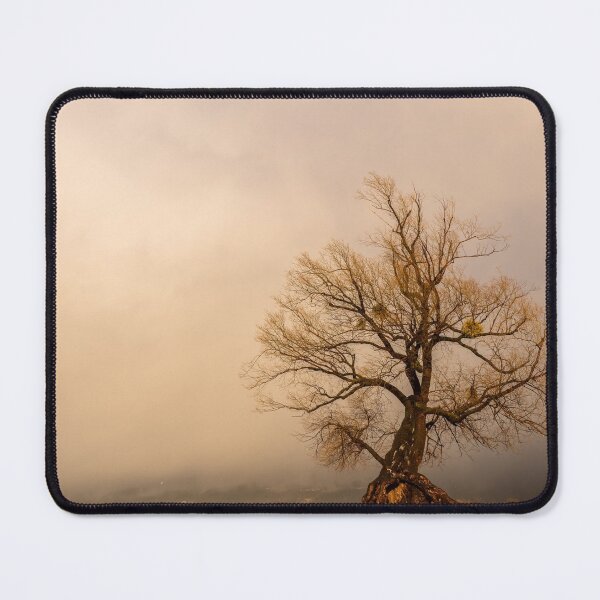 Item preview, Old willow on the shore of lake Constance designed and sold by Stefan Rotter.