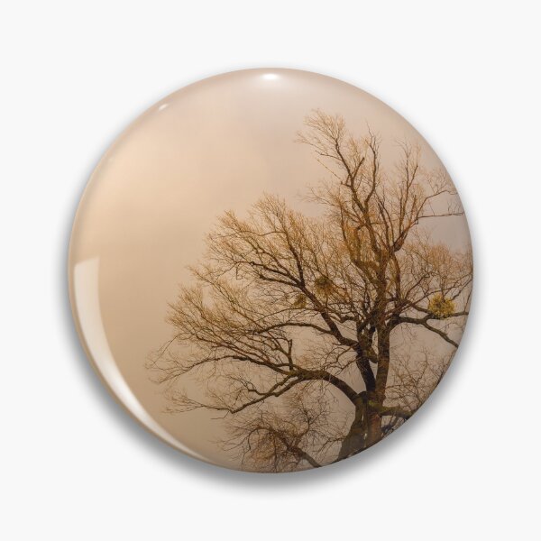 Item preview, Old willow on the shore of lake Constance designed and sold by Stefan Rotter.