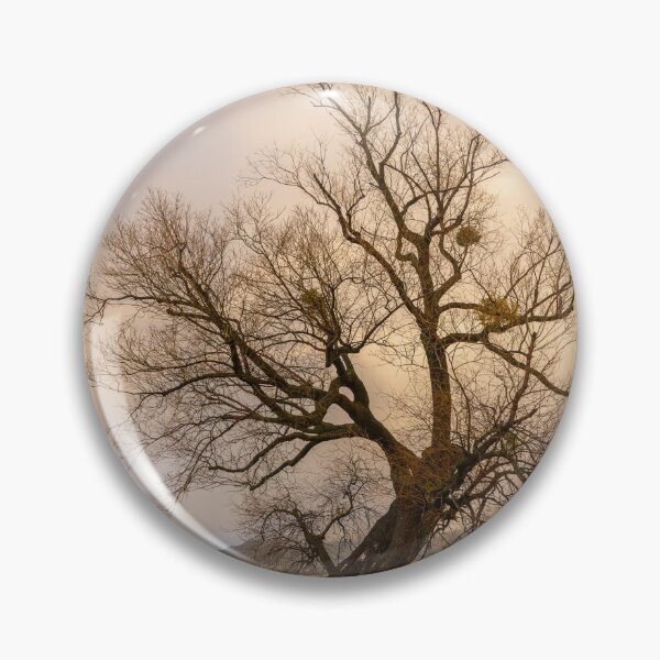 Item preview, Old willow on the shore of lake Constance designed and sold by Stefan Rotter.