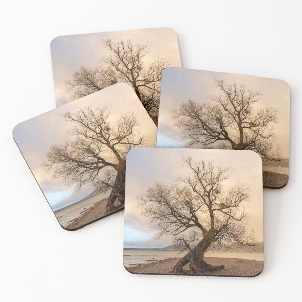 Item preview, Old willow on the shore of lake Constance designed and sold by Stefan Rotter.