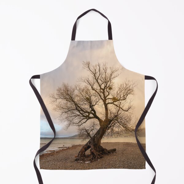 Item preview, Old willow on the shore of lake Constance designed and sold by Stefan Rotter.