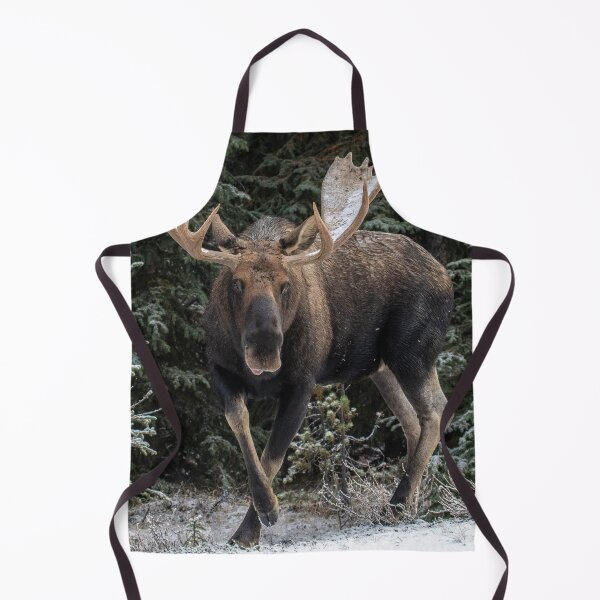 Item preview, Bull Moose in winter, Jasper, Alberta in the Canadian Rockies designed and sold by Maddie4Real.