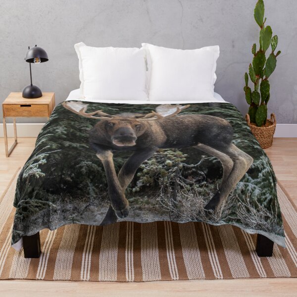 Item preview, Bull Moose in winter, Jasper, Alberta in the Canadian Rockies designed and sold by Maddie4Real.
