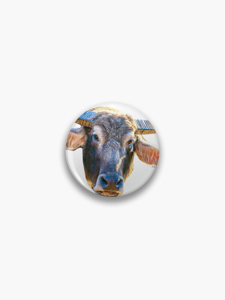 Pin on Buffalo