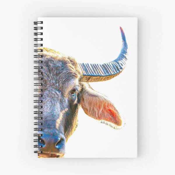 Item preview, Water Buffalo head designed and sold by Dalyndigital Photography.