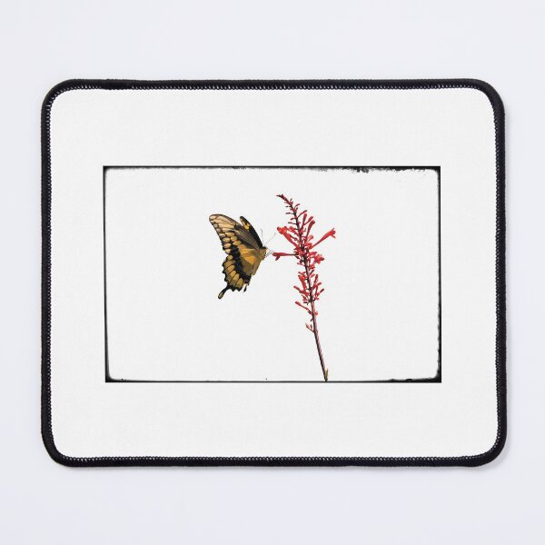 Item preview, Swallowtail Butterfly on Fire Spike designed and sold by KbytesOfJax Outdoor and Nature.