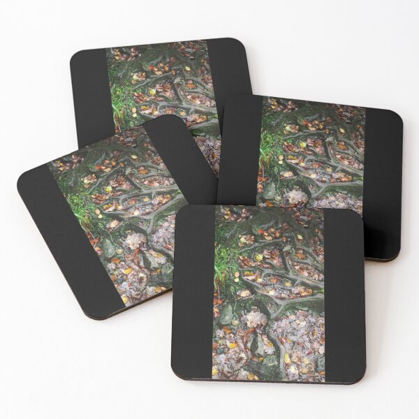 Item preview, British Woodland in Autumn - Roots 1   designed and sold by ArtyBurgerss.