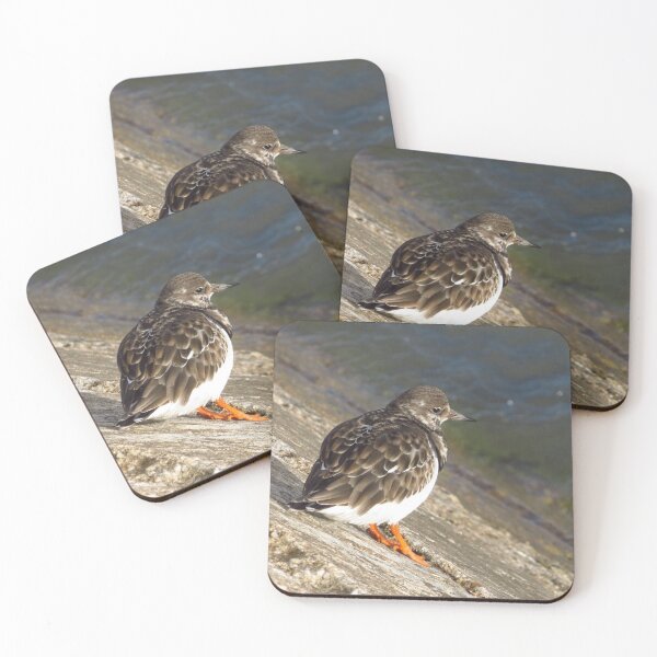 Item preview, Turnstone - A Bird With Character designed and sold by wiggyofipswich.