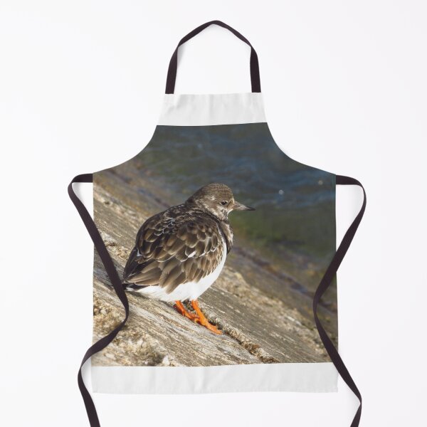 Item preview, Turnstone - A Bird With Character designed and sold by wiggyofipswich.