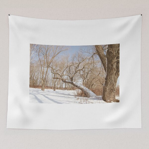 Item preview, To All My Friends on RB - Merry Christmas - 2012 © designed and sold by © Hany G. Jadaa © Prince John Photography.